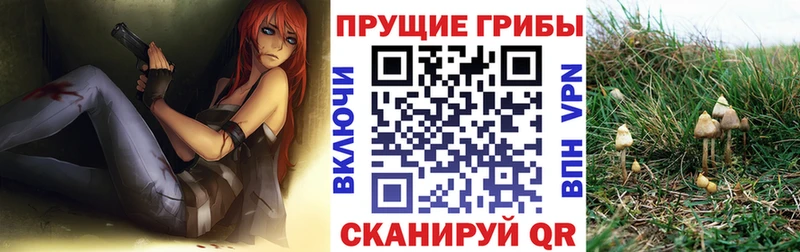 наркошоп  мориарти состав  Псилоцибиновые грибы Magic Shrooms  Ногинск 