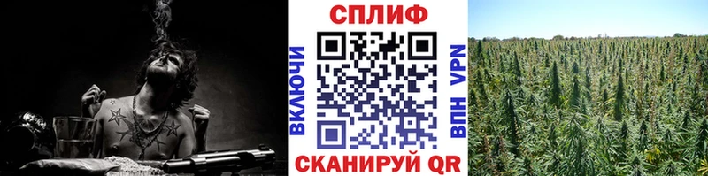Бошки марихуана индика  Ногинск 